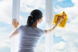 Cleaning Pet Hair And Grime